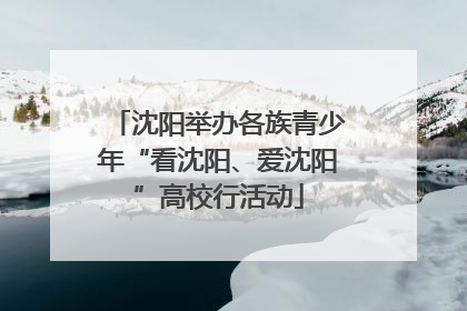 沈阳举办各族青少年“看沈阳、爱沈阳”高校行活动