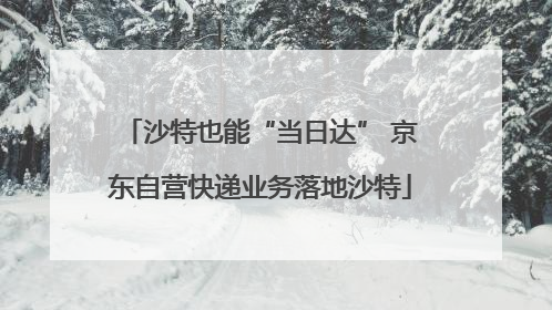 沙特也能“当日达” 京东自营快递业务落地沙特