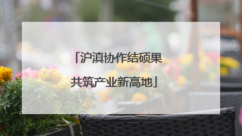 沪滇协作结硕果 共筑产业新高地