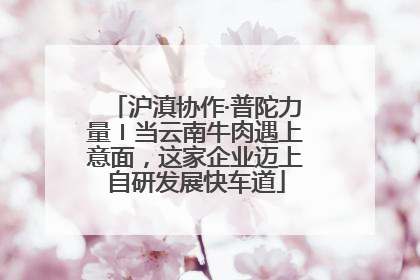 沪滇协作·普陀力量〡当云南牛肉遇上意面，这家企业迈上自研发展快车道