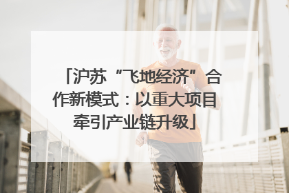 沪苏“飞地经济”合作新模式：以重大项目牵引产业链升级