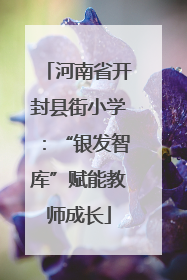 河南省开封县街小学：“银发智库”赋能教师成长