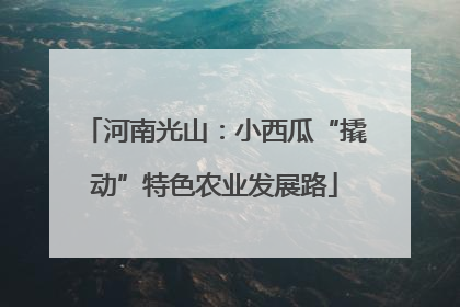 河南光山：小西瓜“撬动”特色农业发展路