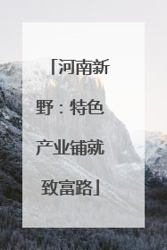 河南新野：特色产业铺就致富路