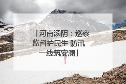河南汤阴：巡察监督护民生 防汛一线筑安澜