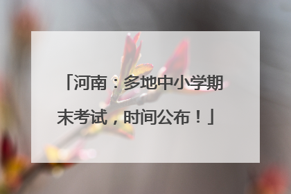 河南：多地中小学期末考试，时间公布！