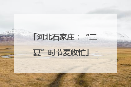 河北石家庄：“三夏”时节麦收忙