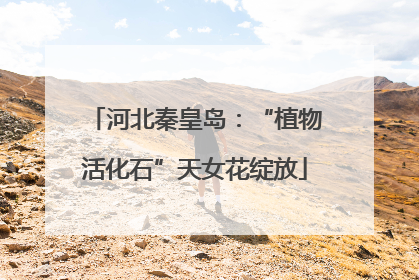 河北秦皇岛：“植物活化石”天女花绽放