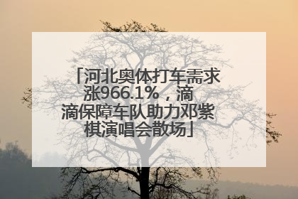 河北奥体打车需求涨966.1%，滴滴保障车队助力邓紫棋演唱会散场