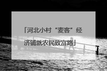 河北小村“麦客”经济铺就农民致富路