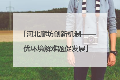 河北廊坊创新机制——优环境解难题促发展