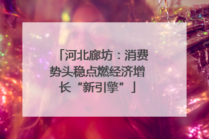 河北廊坊：消费势头稳点燃经济增长“新引擎”