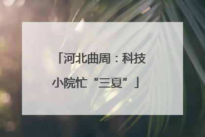 河北曲周：科技小院忙“三夏”