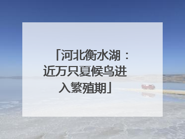 河北衡水湖：近万只夏候鸟进入繁殖期
