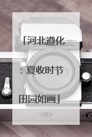 河北遵化：夏收时节田园如画