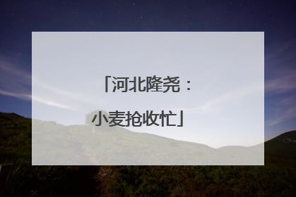 河北隆尧：小麦抢收忙