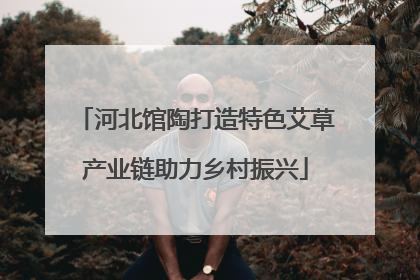 河北馆陶打造特色艾草产业链助力乡村振兴