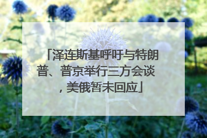 泽连斯基呼吁与特朗普、普京举行三方会谈，美俄暂未回应