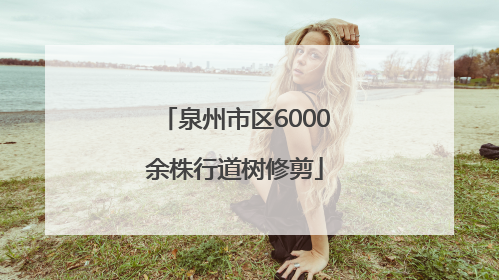 泉州市区6000余株行道树修剪