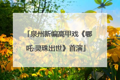 泉州新编高甲戏《哪吒·灵珠出世》首演