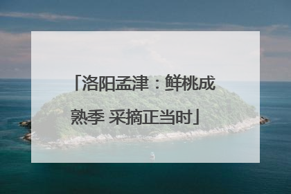 洛阳孟津：鲜桃成熟季 采摘正当时