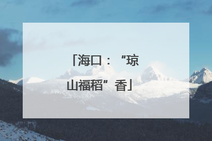 海口：“琼山福稻”香