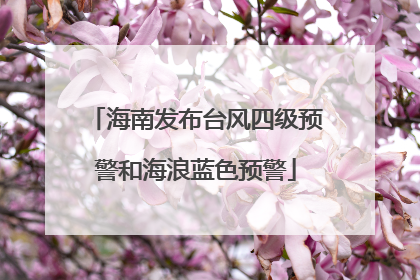 海南发布台风四级预警和海浪蓝色预警