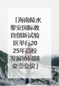 海南陵水黎安国际教育创新试验区举行2025年高校发展协同圆桌会会议