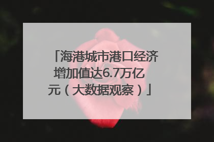 海港城市港口经济增加值达6.7万亿元（大数据观察）