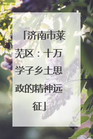 济南市莱芜区：十万学子乡土思政的精神远征