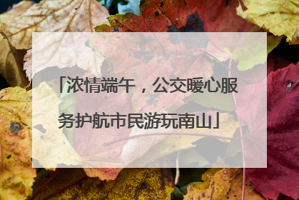 浓情端午，公交暖心服务护航市民游玩南山