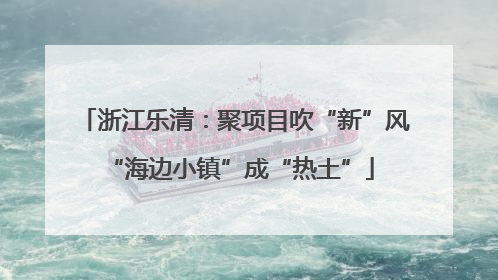 浙江乐清：聚项目吹“新”风 “海边小镇”成“热土”