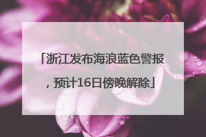 浙江发布海浪蓝色警报，预计16日傍晚解除