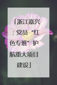 浙江嘉兴：党员“红色专班”护航重大项目建设