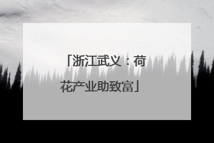 浙江武义：荷花产业助致富
