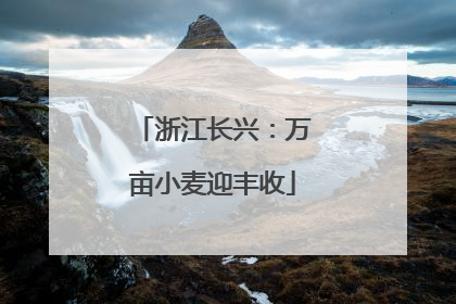 浙江长兴：万亩小麦迎丰收