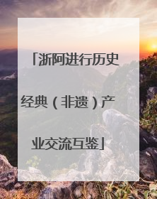 浙阿进行历史经典（非遗）产业交流互鉴
