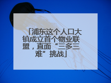 浦东这个人口大镇成立首个物业联盟，直面“三多三难”挑战