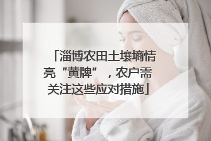 淄博农田土壤墒情亮“黄牌”，农户需关注这些应对措施