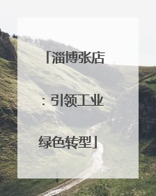 淄博张店：引领工业绿色转型