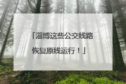 淄博这些公交线路恢复原线运行！