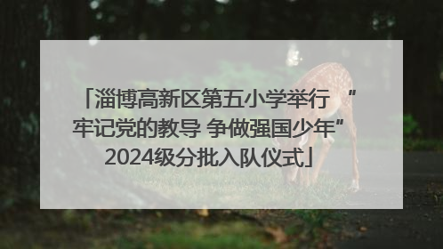 淄博高新区第五小学举行 “牢记党的教导 争做强国少年”2024级分批入队仪式