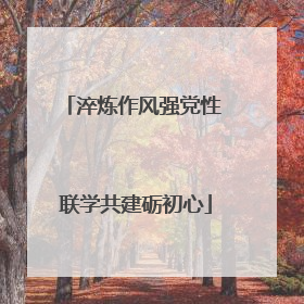 淬炼作风强党性 联学共建砺初心