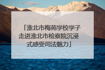 淮北市梅苑学校学子走进淮北市检察院沉浸式感受司法魅力