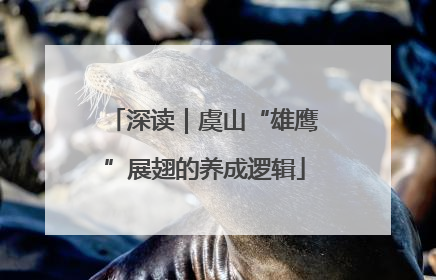 深读｜虞山“雄鹰”展翅的养成逻辑