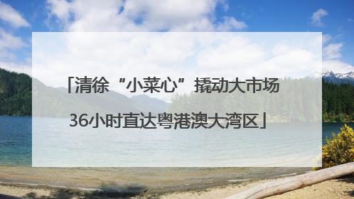 清徐“小菜心”撬动大市场 36小时直达粤港澳大湾区