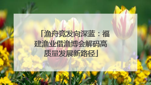 渔舟竞发向深蓝：福建渔业借渔博会解码高质量发展新路径