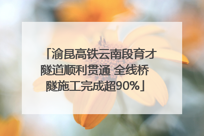渝昆高铁云南段育才隧道顺利贯通 全线桥隧施工完成超90%