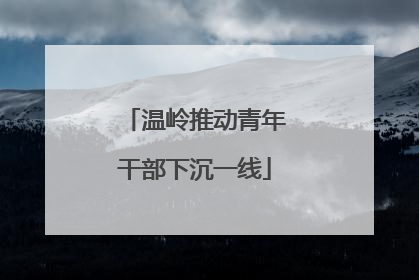 温岭推动青年干部下沉一线