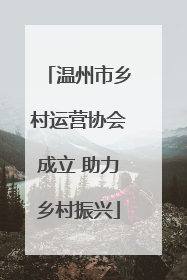 温州市乡村运营协会成立 助力乡村振兴